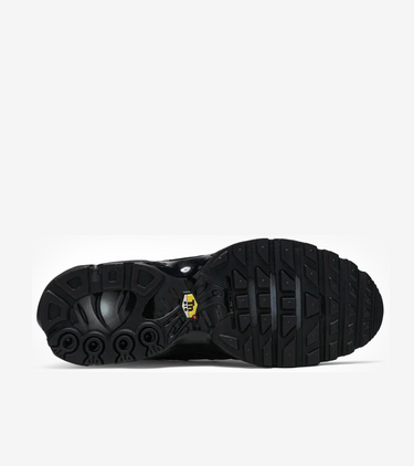 Nike Air Max Plus Triple Black