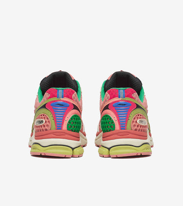 Saucony ProGrid Triumph 4 Jae Tips Flowers Grow Uptown Virginia Creeper