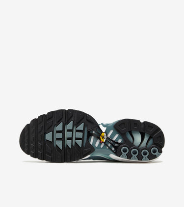Nike Air Max Plus Origins Waterway