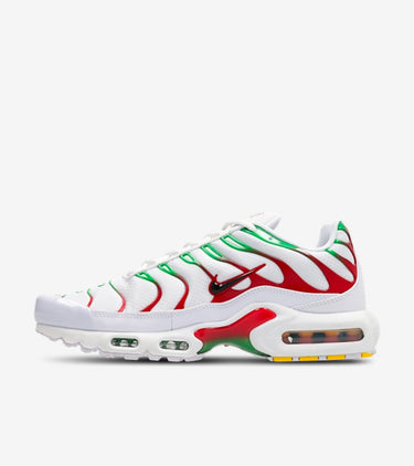 Nike Air Max Plus Italy