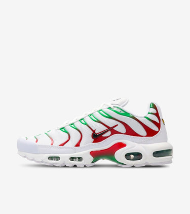 Nike Air Max Plus Italy