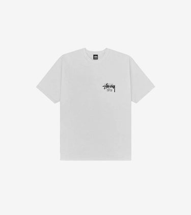 Stussy Paris Tee Fog